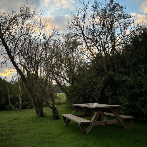 WhatsApp Image 2026-03-15 at 12.13.48 (1)